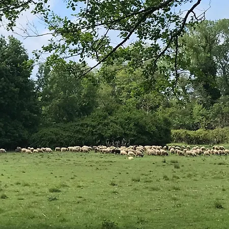 Appartement En Bord De Sur Costa Serena N54