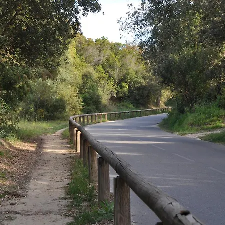 En Bord De Sur Costa Serena N54 * Linguizzetta