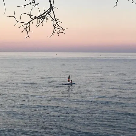 Appartement En Bord De Sur Costa Serena N54 Linguizzetta