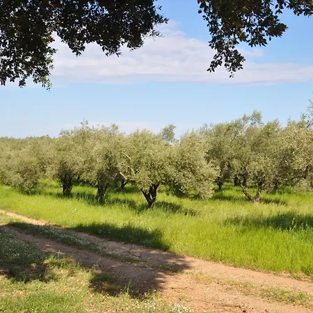 En Bord De Sur Costa Serena N54 * Linguizzetta