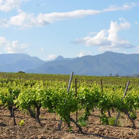 Appartement En Bord De Sur Costa Serena N54