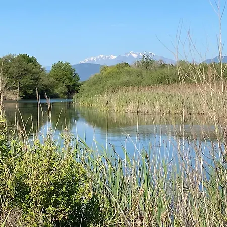 En Bord De Sur Costa Serena N54 * Linguizzetta