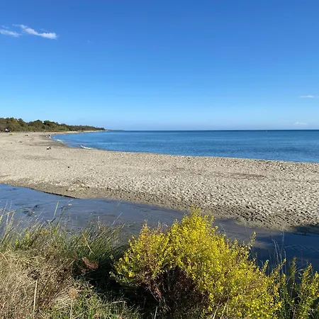 En Bord De Sur Costa Serena N54 Linguizzetta