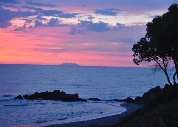 公寓 En Bord De Sur Costa Serena N54 Linguizzetta