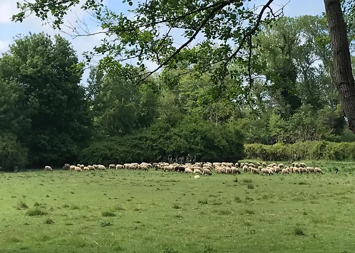 Appartamento En Bord De Sur Costa Serena N54