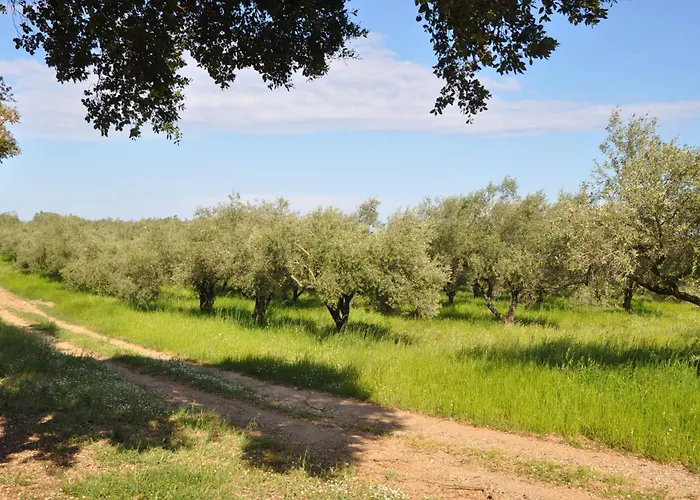 En Bord De Sur Costa Serena N54 * Linguizzetta