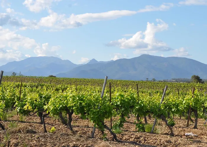 公寓 En Bord De Sur Costa Serena N54