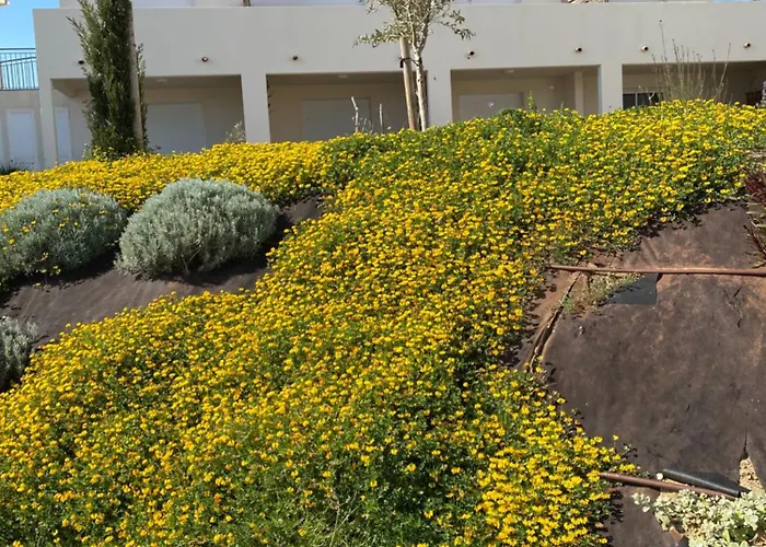 En Bord De Sur Costa Serena N54 Appartamento Linguizzetta