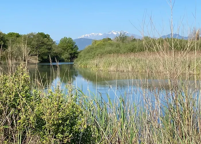 En Bord De Sur Costa Serena N54 * Linguizzetta